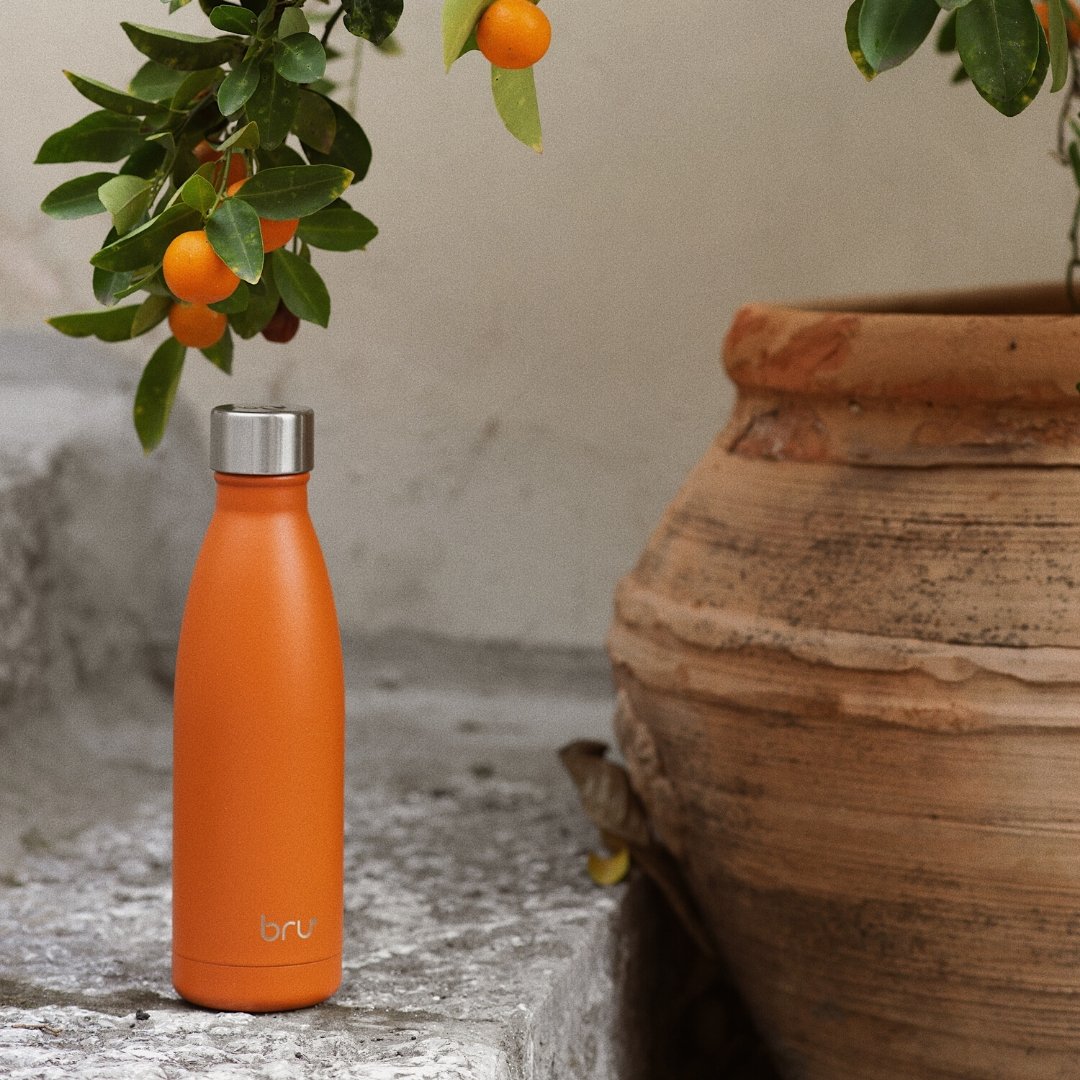  insulated bottle, thermal water bottle, water bottle cold, best insulated water bottle